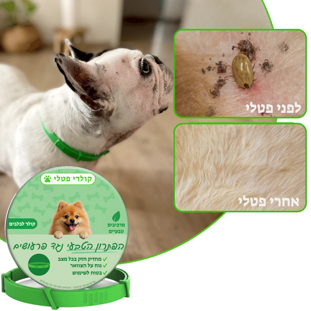 קולר פטלי נגד פרעושים לכלבים