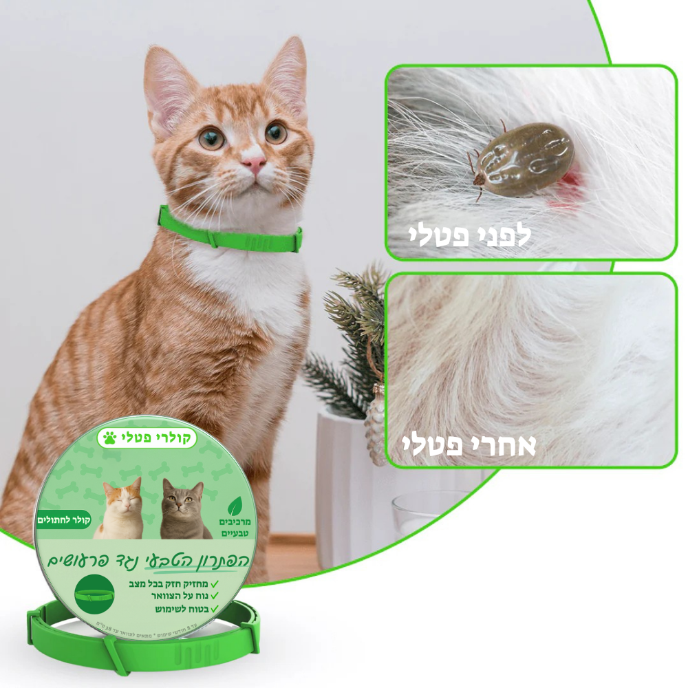 קולר פטלי נגד פרעושים לחתולים