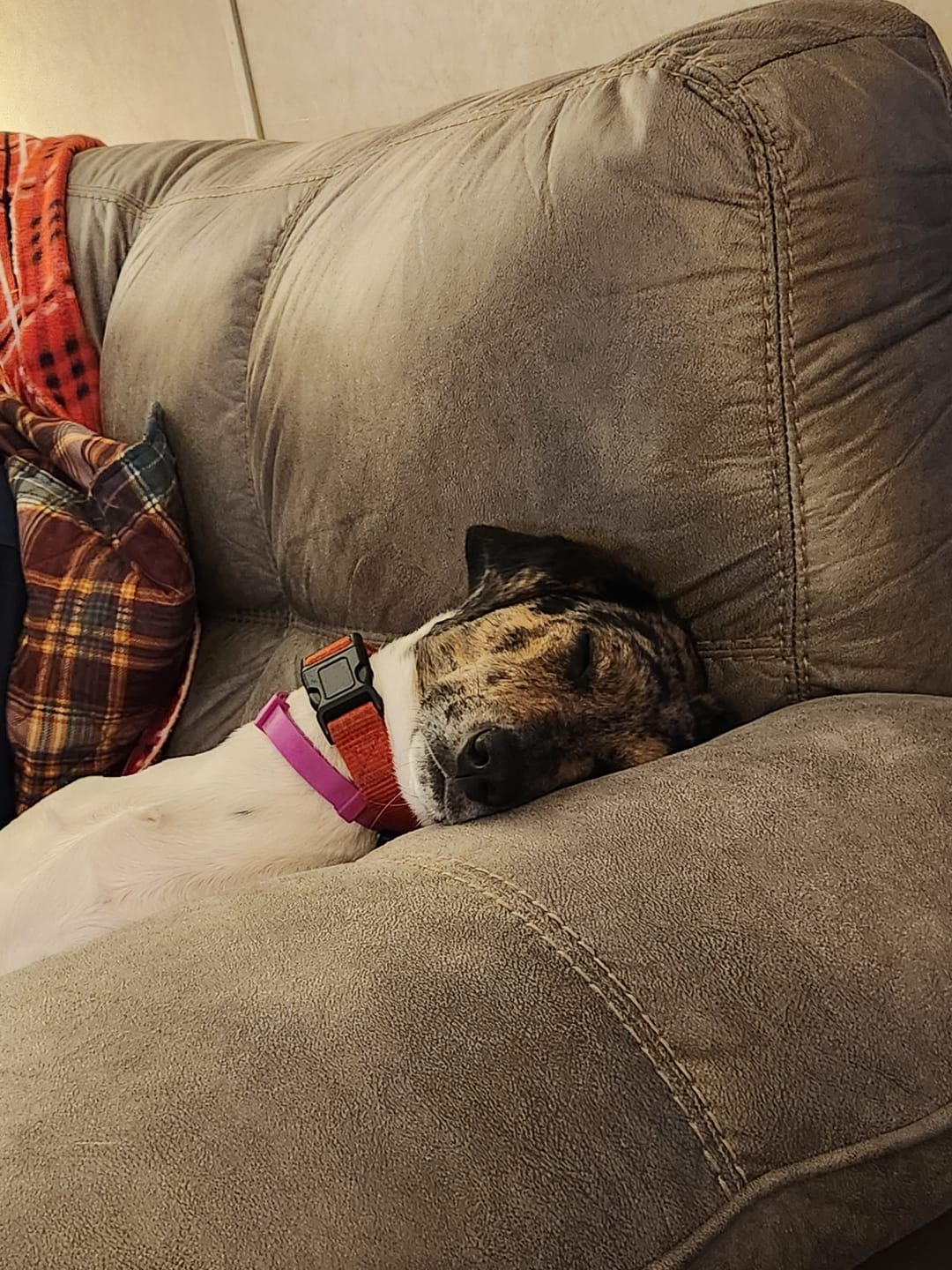 תמונת ביקורת