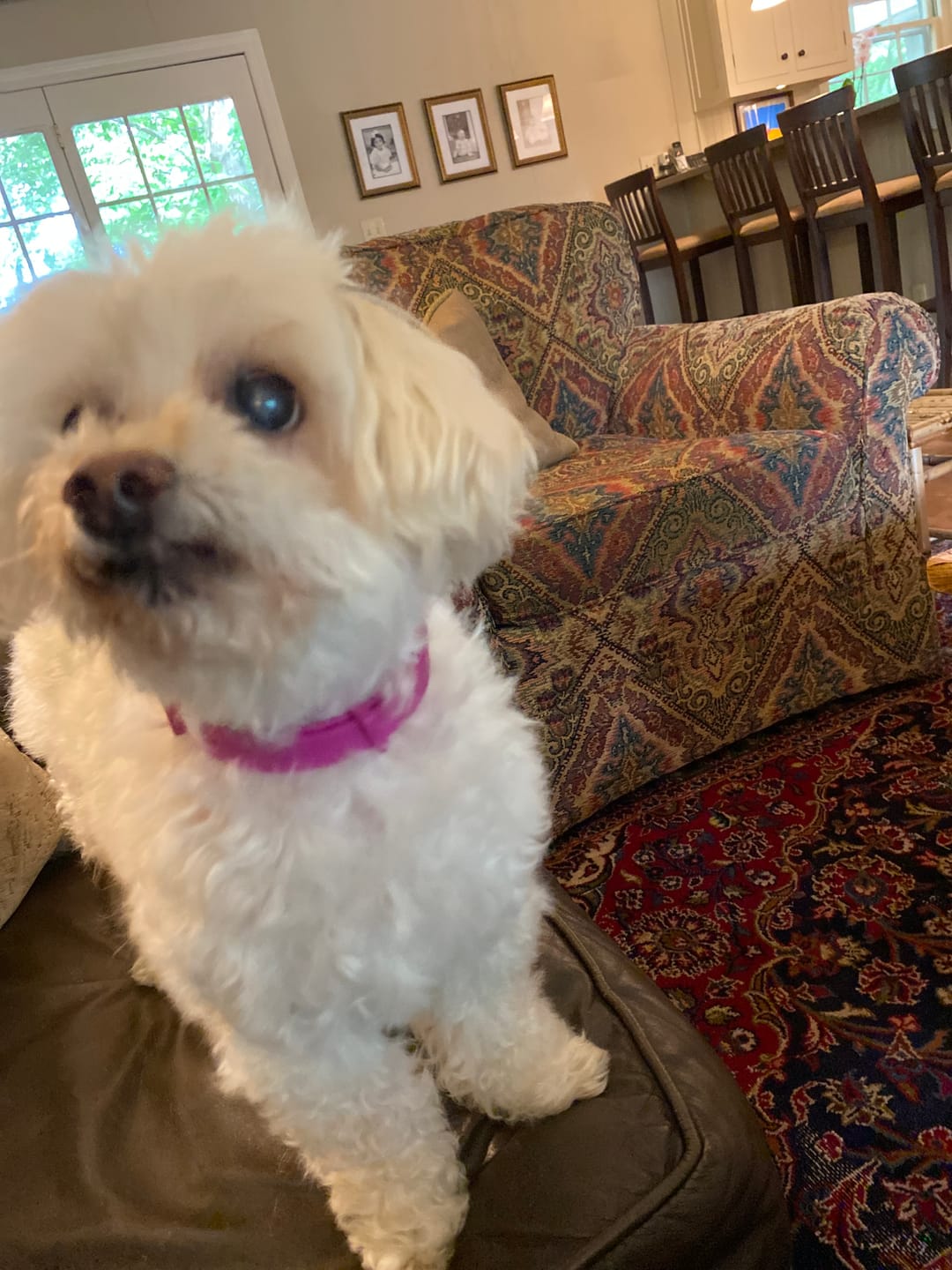 תמונת ביקורת