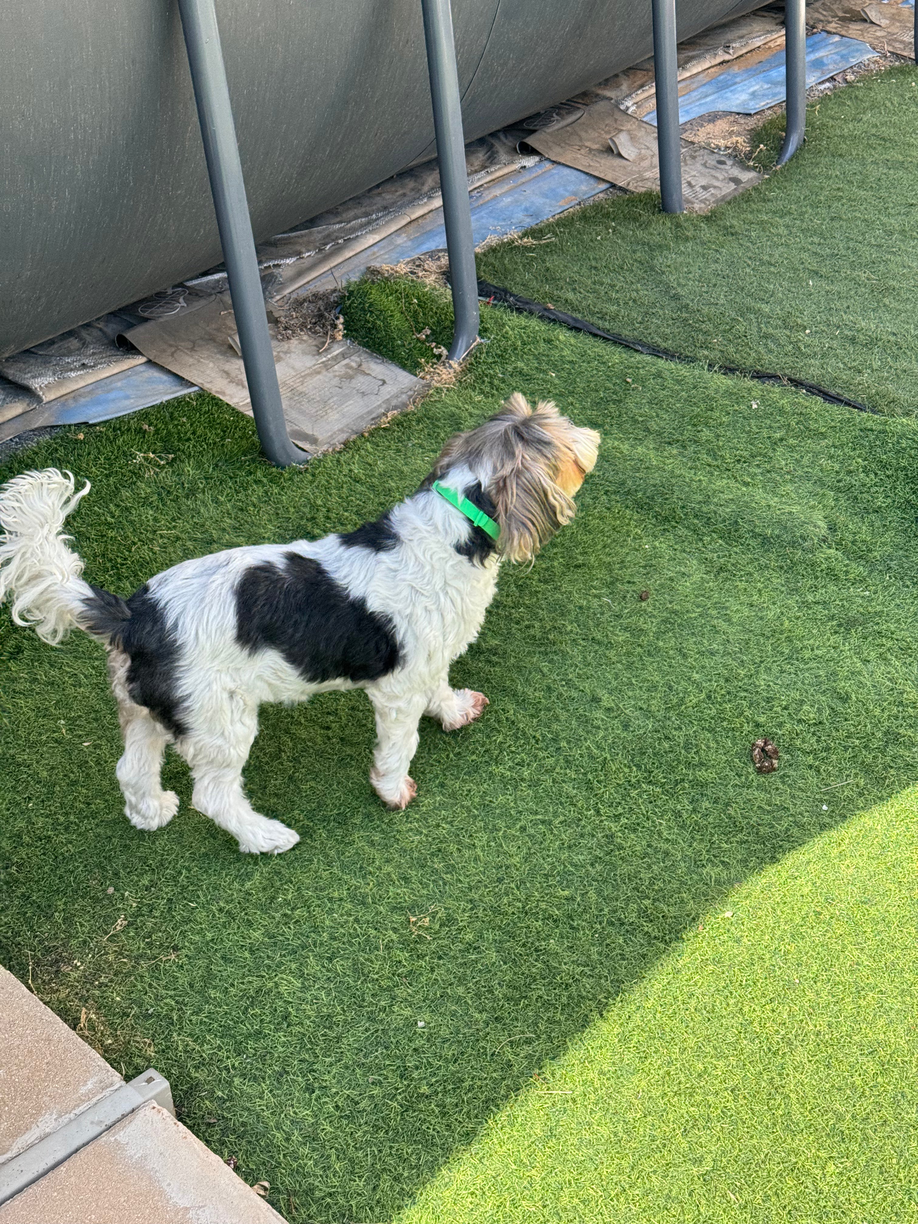 תמונת ביקורת