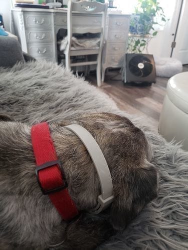 תמונת ביקורת