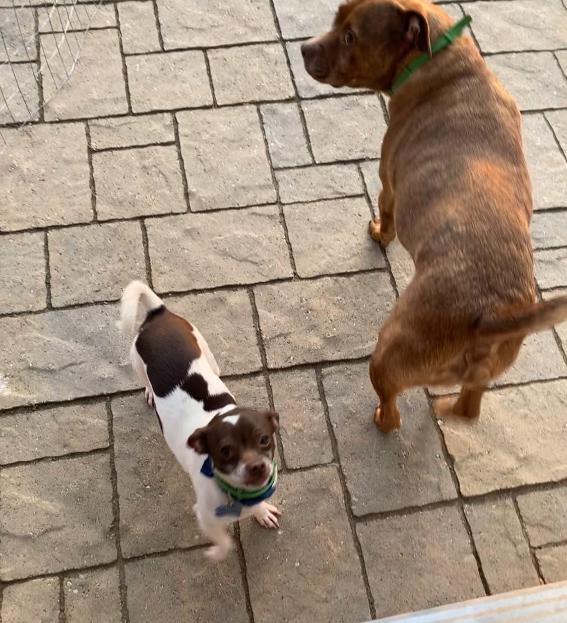 תמונת ביקורת