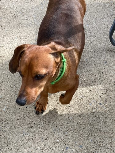 תמונת ביקורת